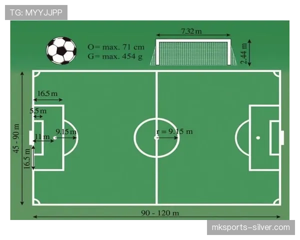 球门尺寸标准：宽度7.32米、高度2.44米是国际比赛的硬性规定